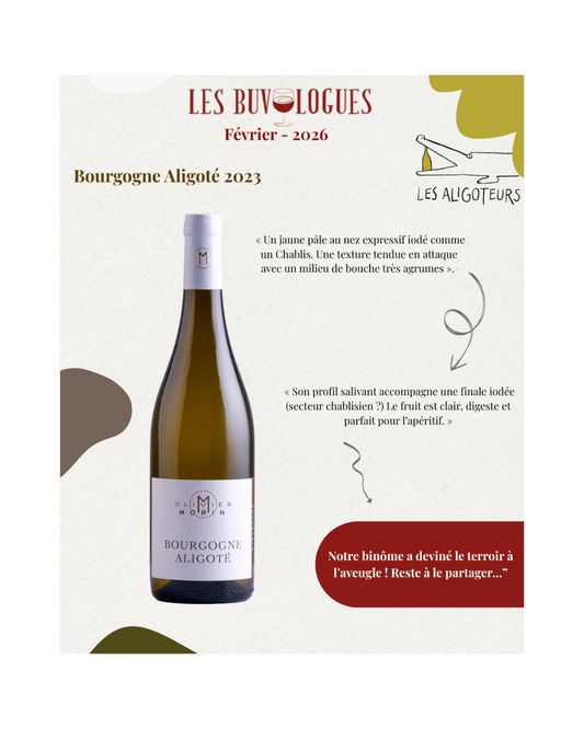 Article les Buvologues - 2026
