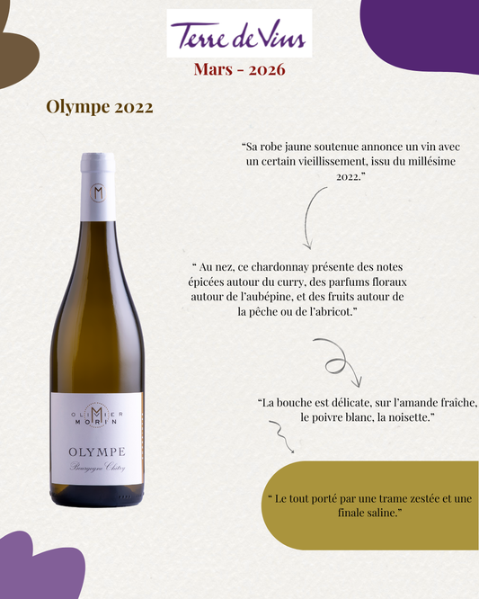 Article Mars 2026 Terre de Vins
