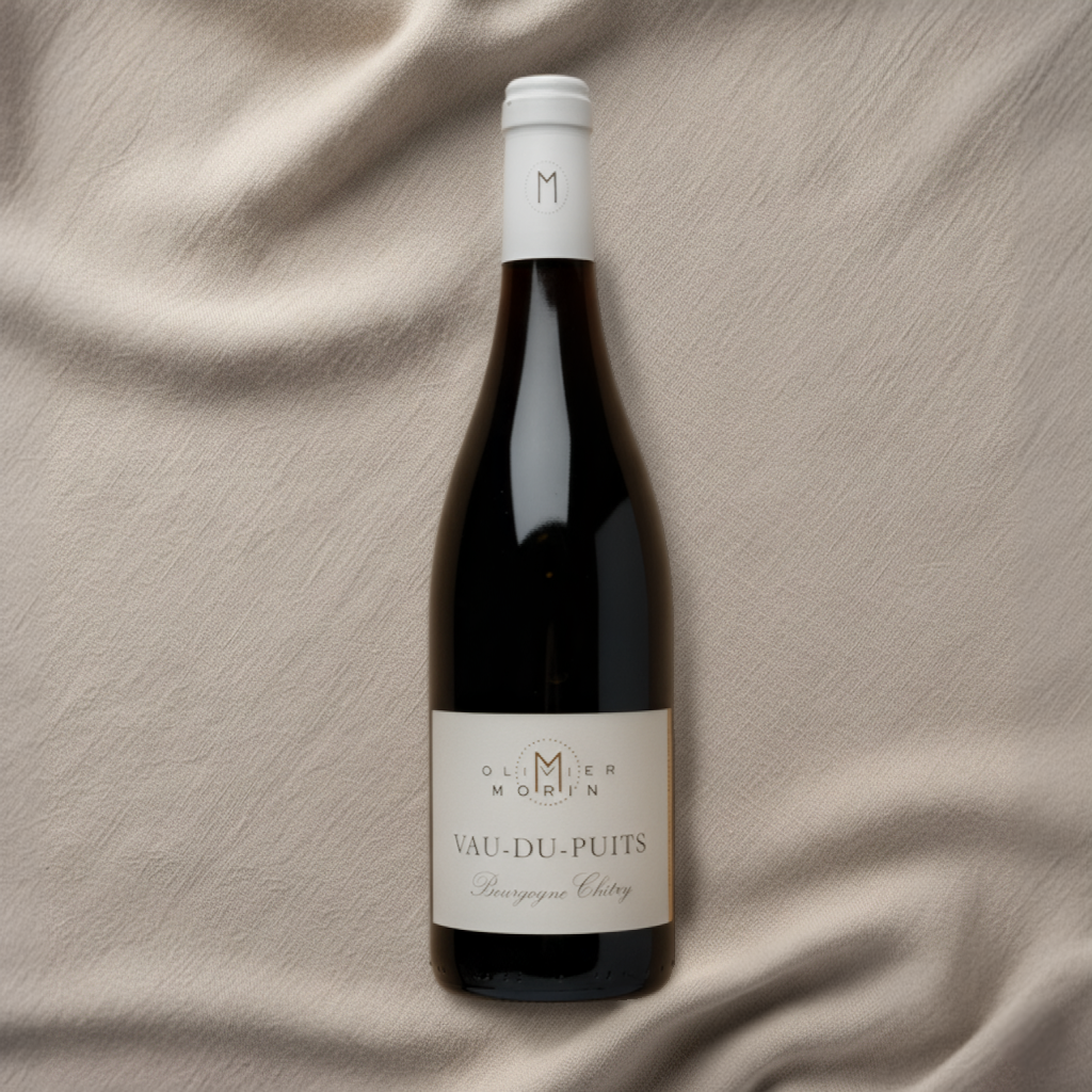 Vau du puits 2022 - Bourgogne Chitry Rouge AOC