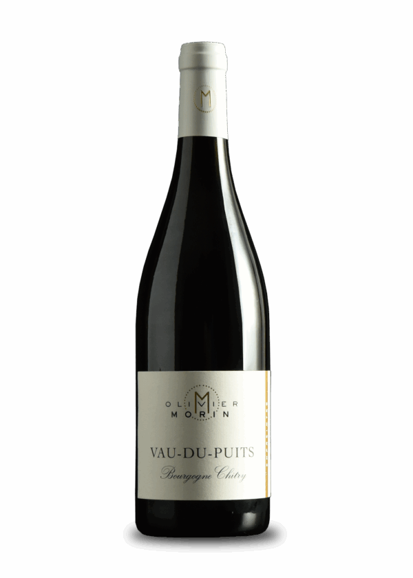 Vau du Puits 2020 0.75L Bourgogne Chitry Rouge AOC